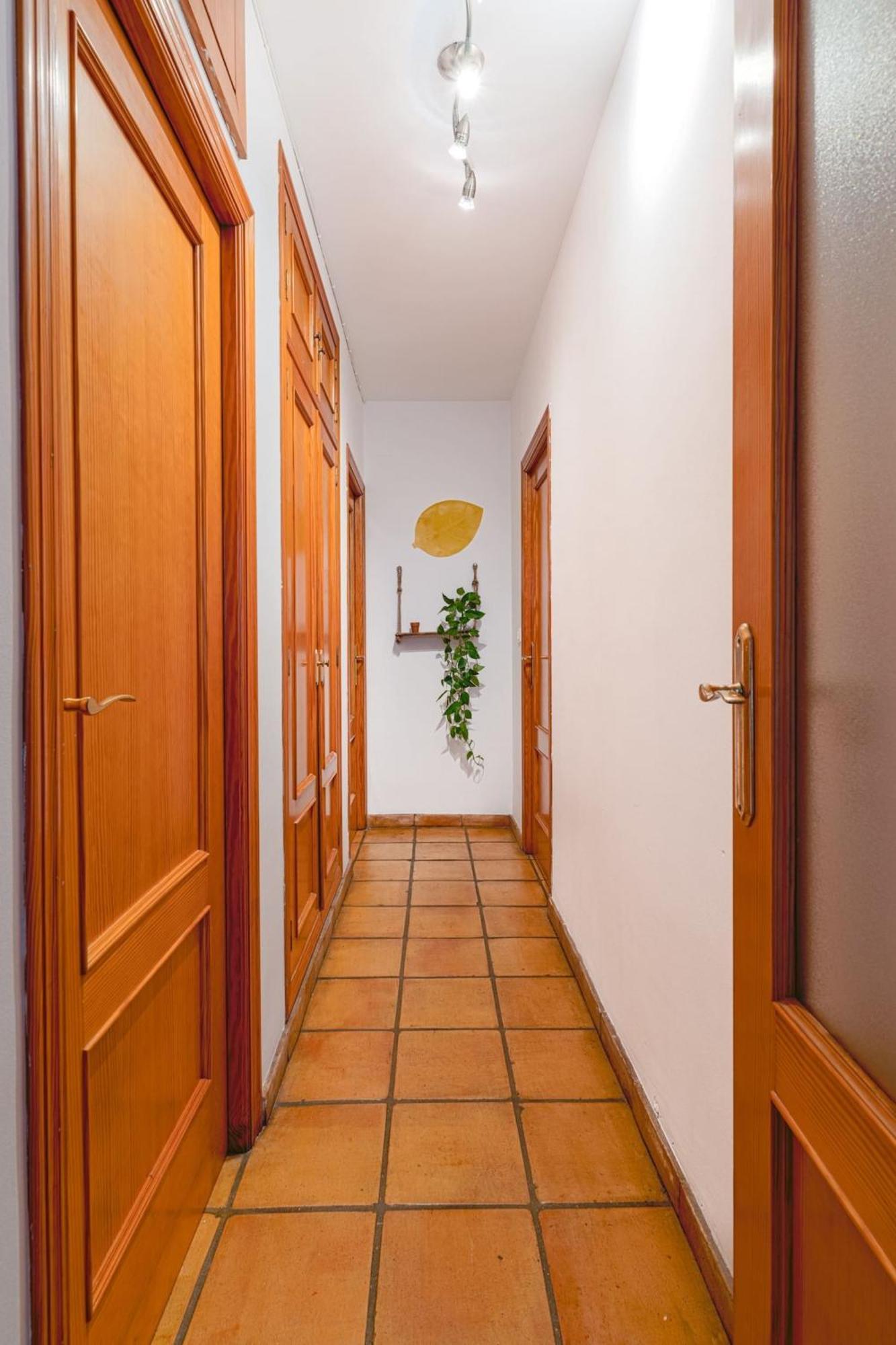 Musico Turia Gardens Διαμέρισμα Βαλένθια Εξωτερικό φωτογραφία